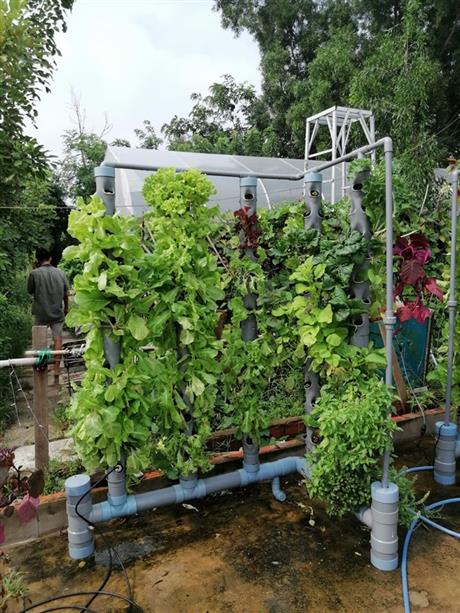 Hội chợ Giống và Nông nghiệp CNC 2019: Giải pháp tự trồng rau khí canh tại đô thị, không phí công lao động ERO Farm